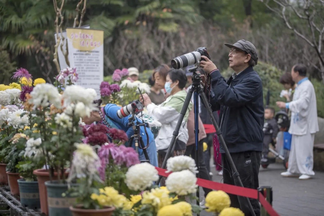 _东方匠人之心中华非遗之美广告_艺子龙花海草原