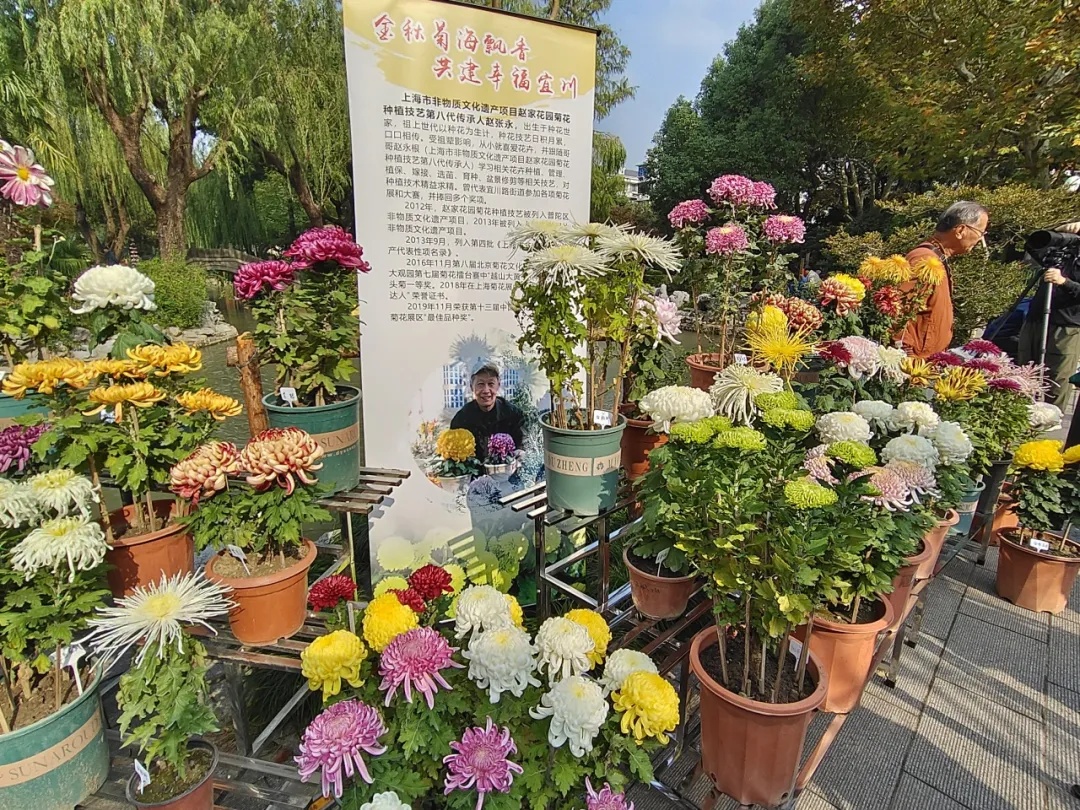 _东方匠人之心中华非遗之美广告_艺子龙花海草原