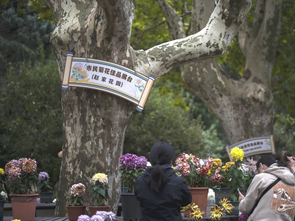 _艺子龙花海草原_东方匠人之心中华非遗之美广告