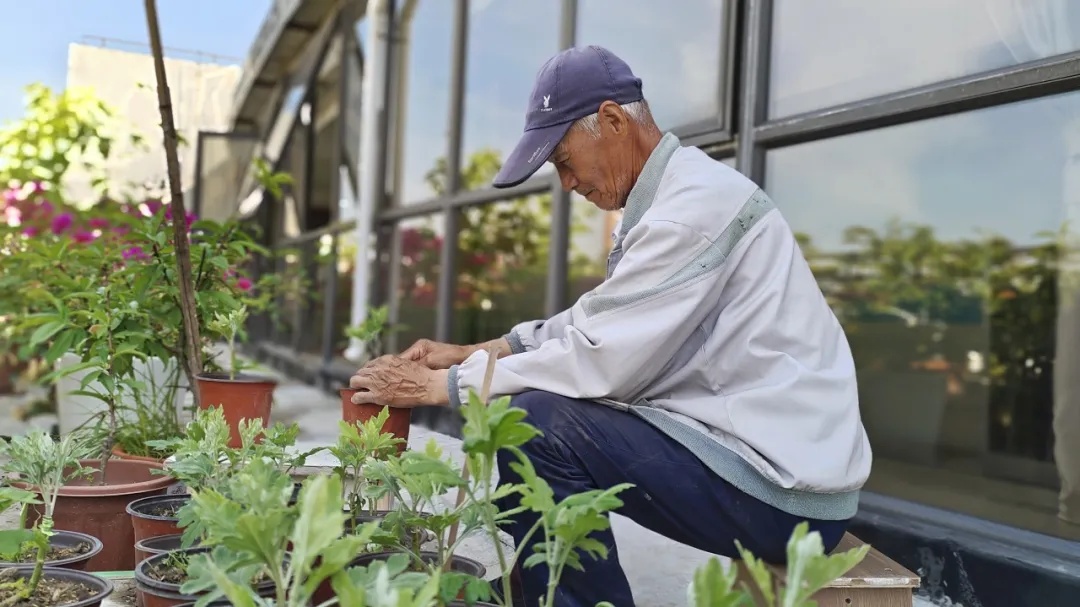 _艺子龙花海草原_东方匠人之心中华非遗之美广告