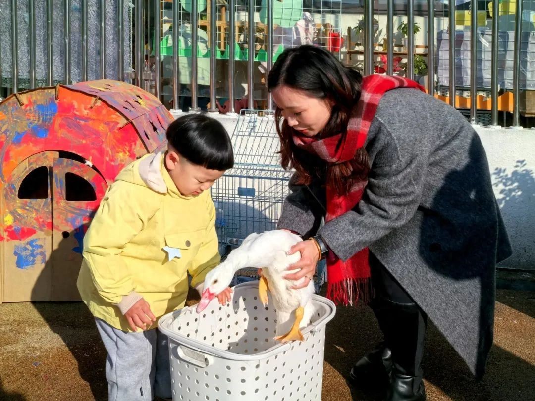 鸭子和萌娃同上幼儿园？没错，这名“同学”叫“大花”！_鸭子和萌娃同上幼儿园？没错，这名“同学”叫“大花”！_