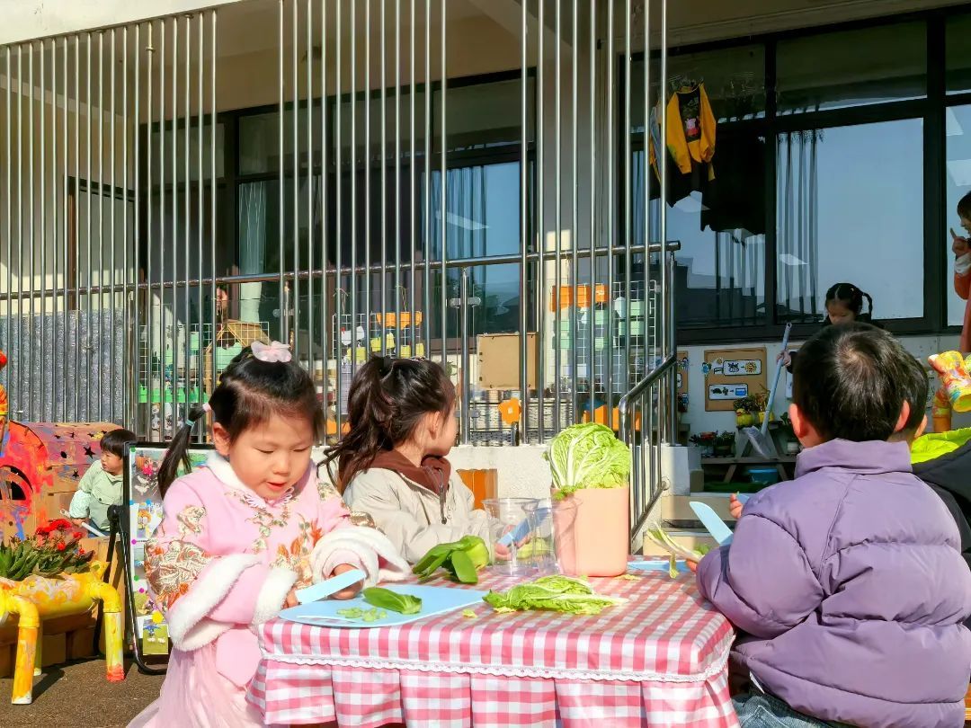 _鸭子和萌娃同上幼儿园？没错，这名“同学”叫“大花”！_鸭子和萌娃同上幼儿园？没错，这名“同学”叫“大花”！